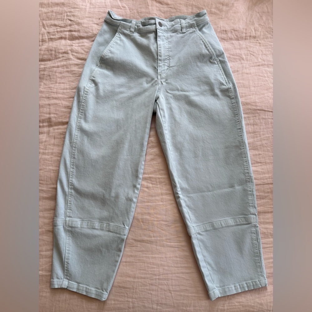 Everlane Utility Barrel Pants